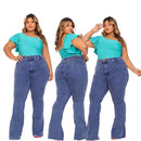 Calca Jeans Flaire Plus